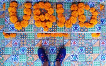 Monkey See, Monkey Do, Monkey Run – It’s Monkey Forest