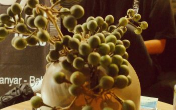 Coffee – The Love and Hate In A Cup For Indonesians.